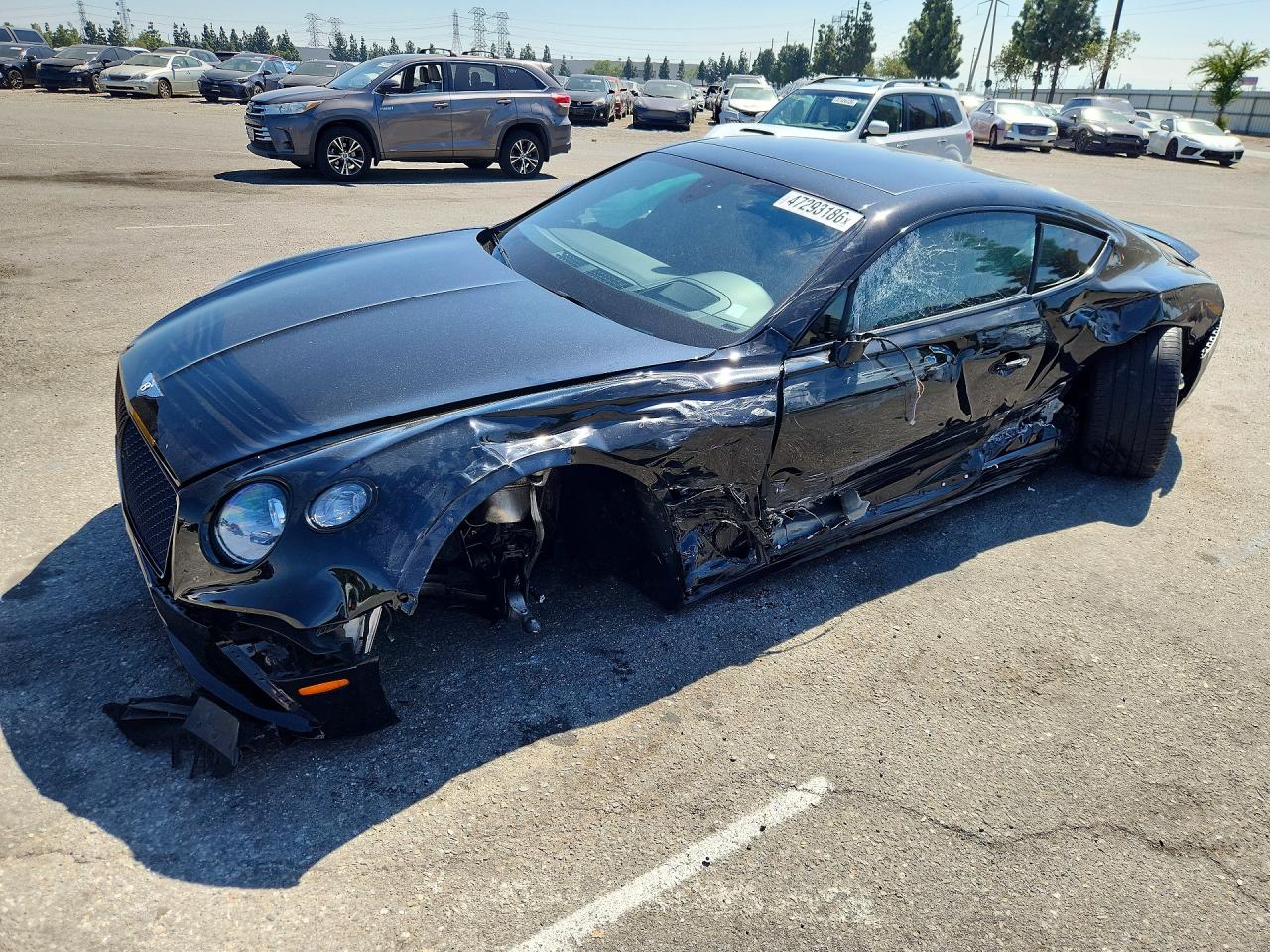 BENTLEY CONTINENTAL 2024