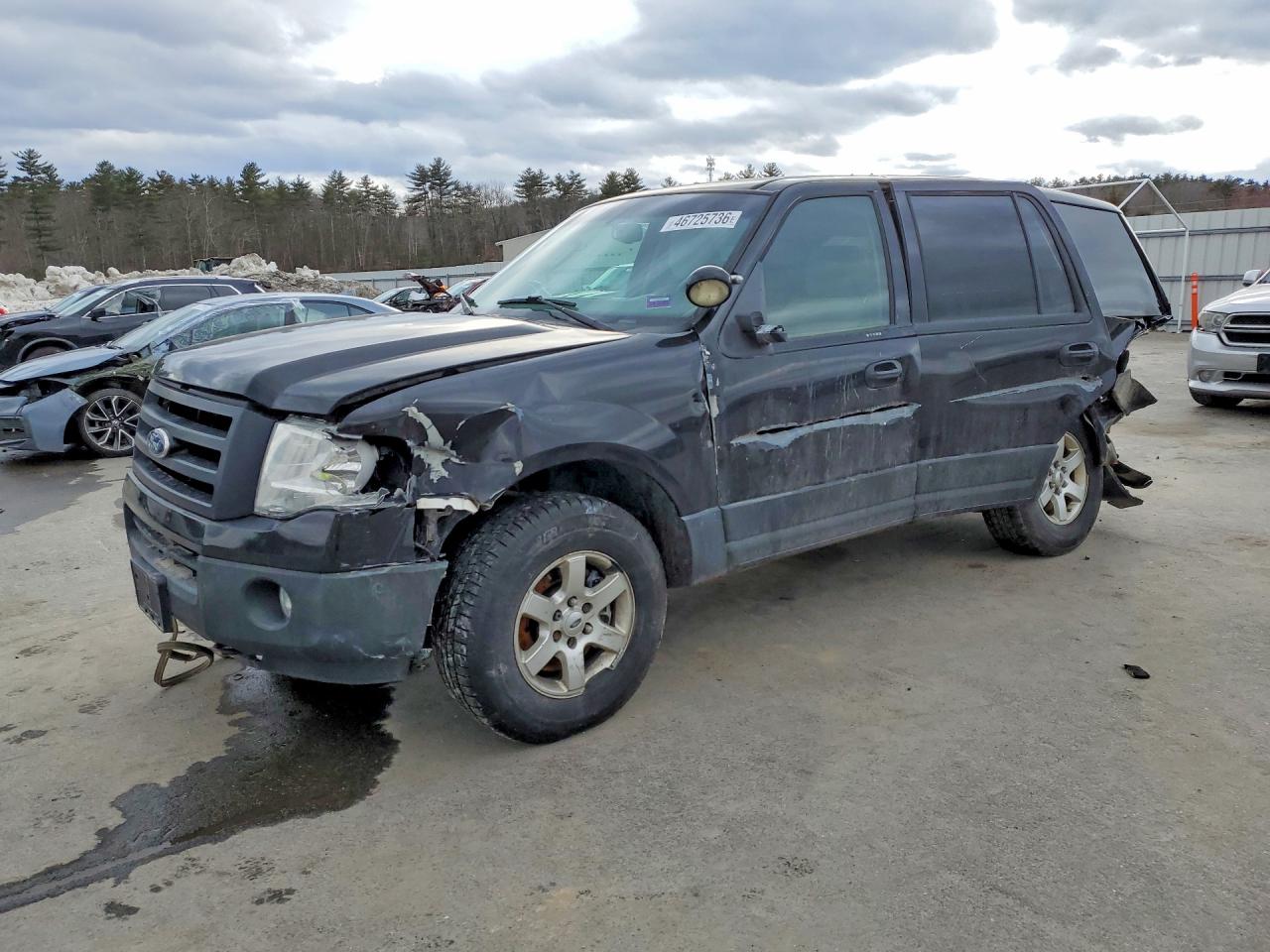 FORD EXPEDITION 2010