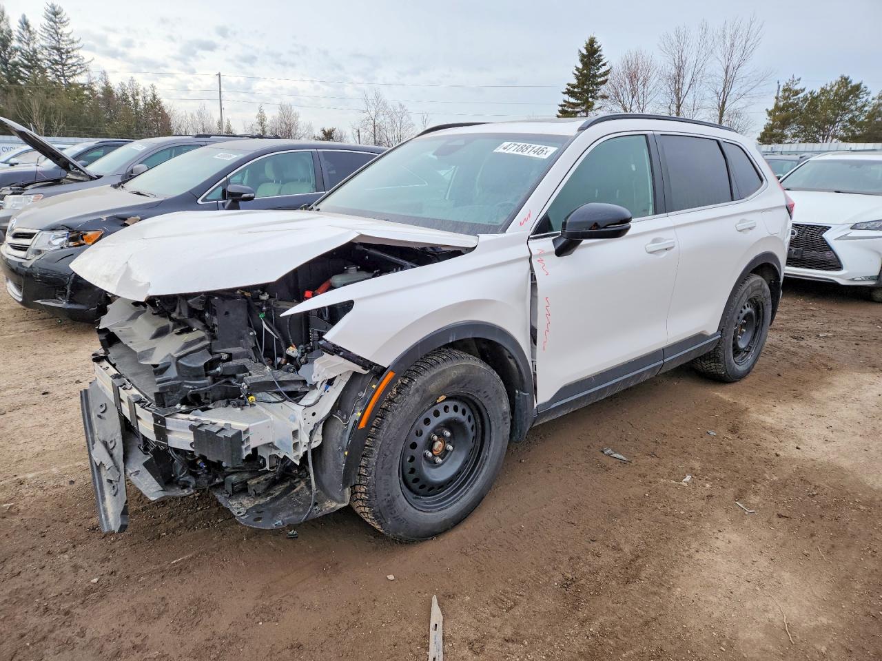 HONDA CR-V 2024