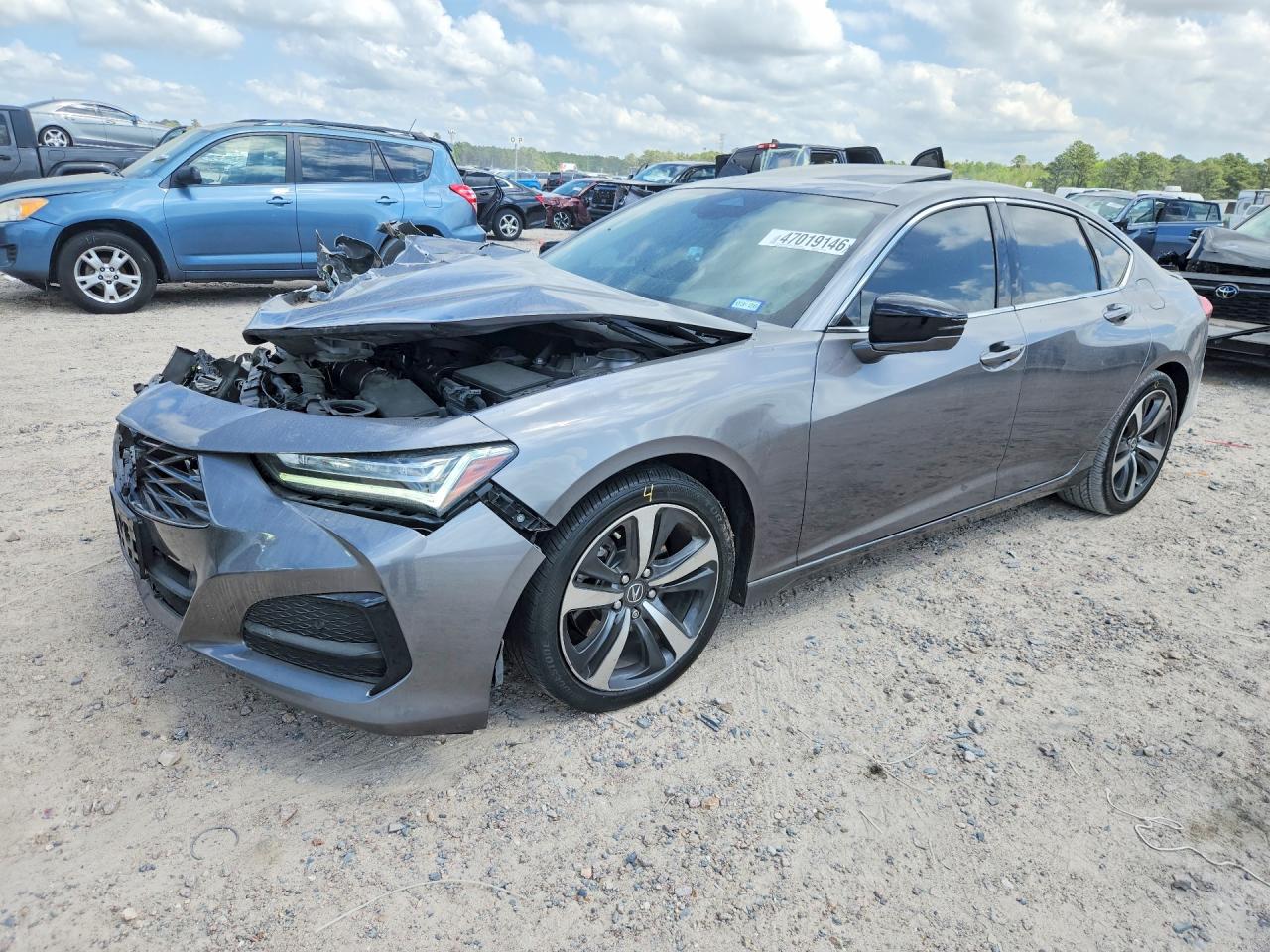 ACURA TLX 2024