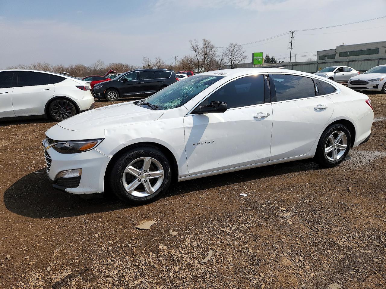 CHEVROLET MALIBU 2019