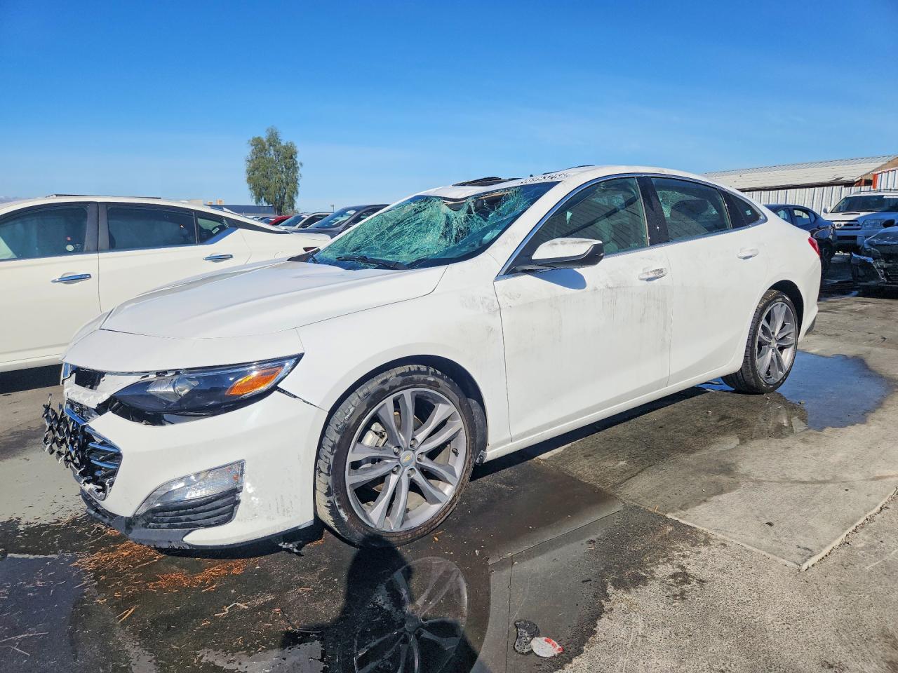 CHEVROLET MALIBU 2023