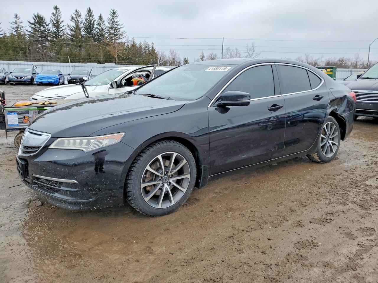 ACURA TLX 2015