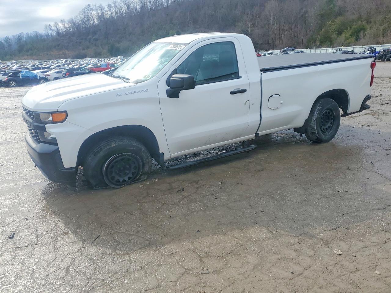 CHEVROLET SILVERADO 2019