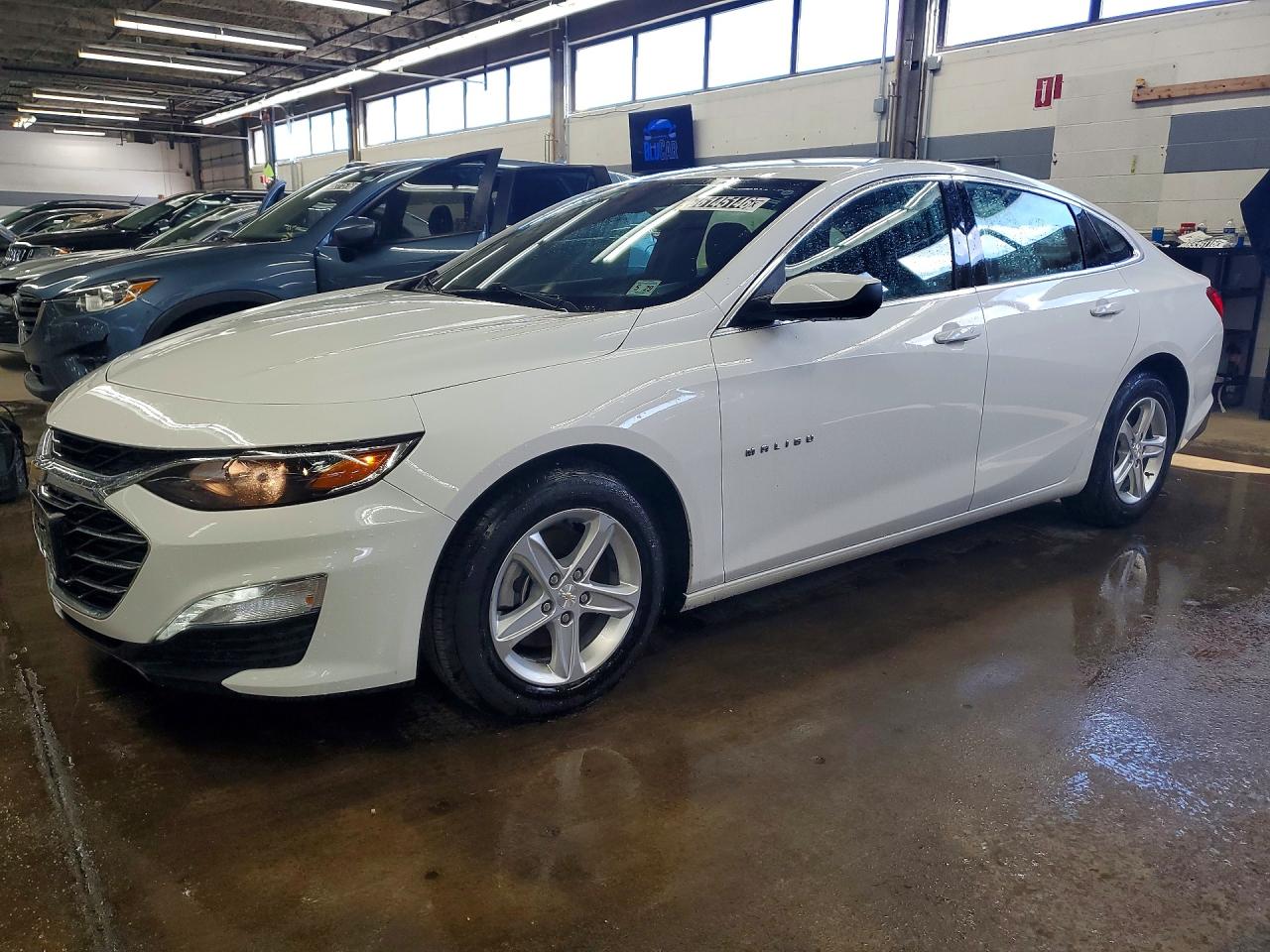 CHEVROLET MALIBU 2024