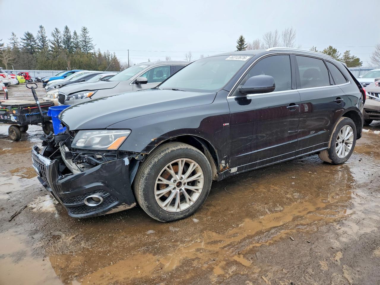 AUDI Q5 2011
