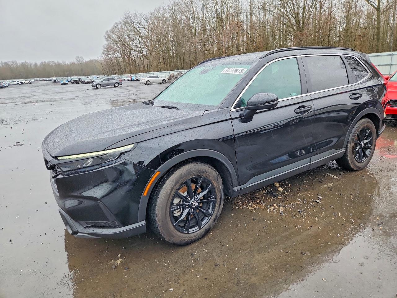 HONDA CR-V 2024