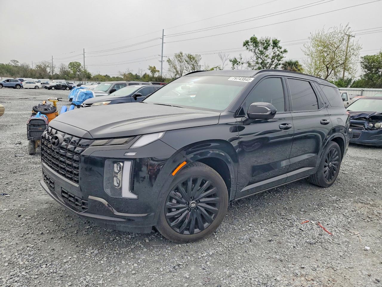 HYUNDAI PALISADE 2025