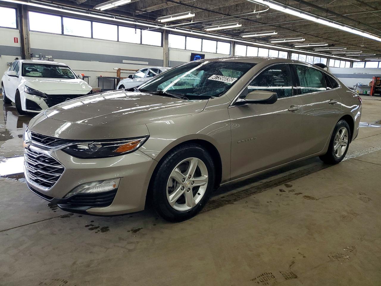 CHEVROLET MALIBU 2023