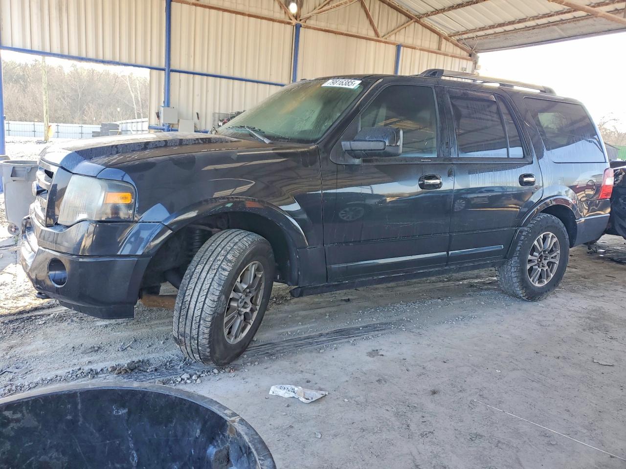 FORD EXPEDITION 2010