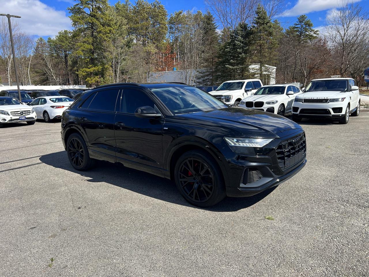AUDI Q8 2019