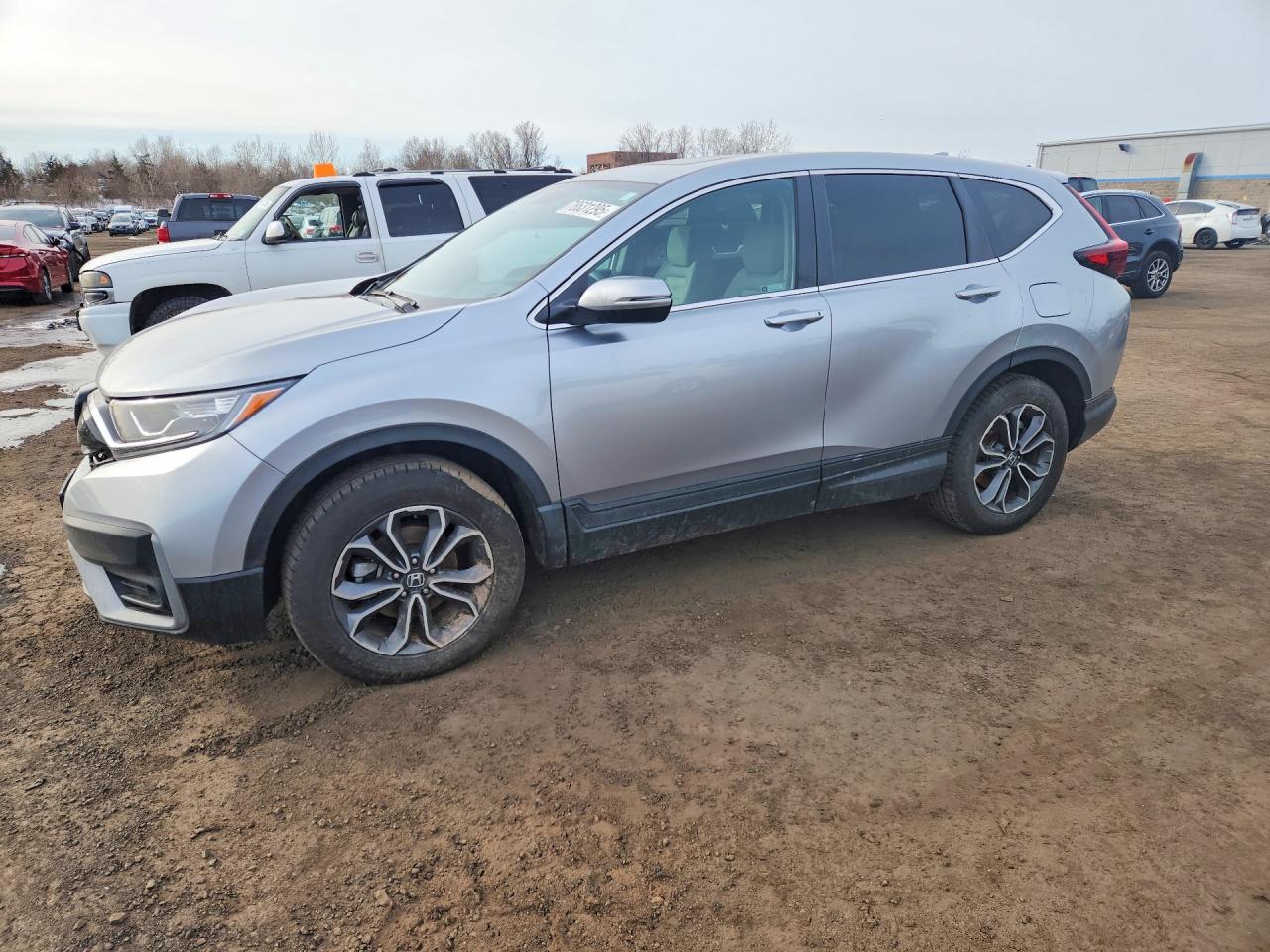 HONDA CR-V 2022