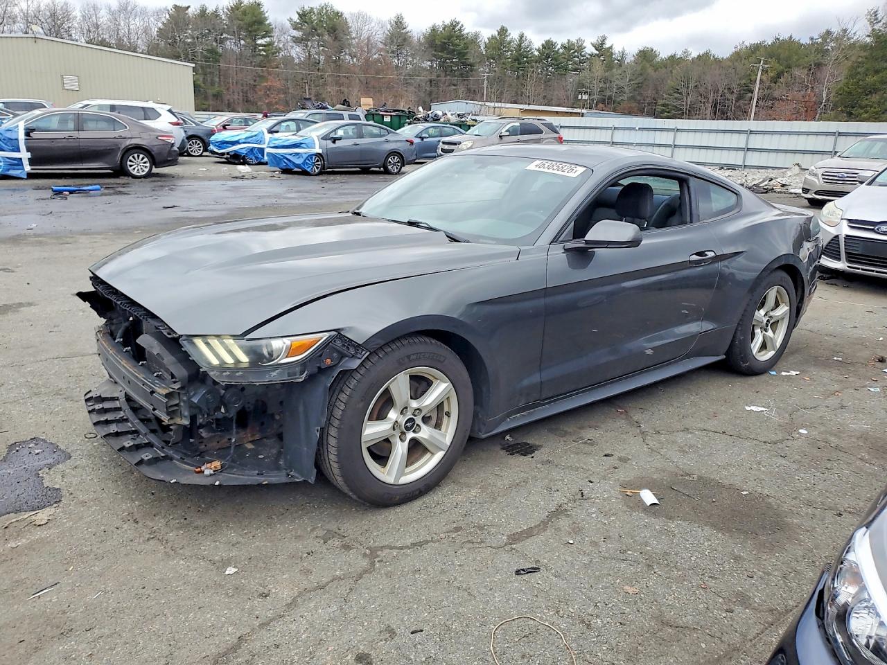FORD MUSTANG 2017
