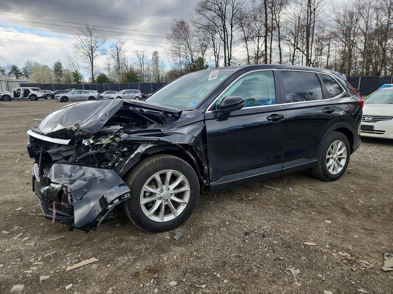HONDA CR-V 2024