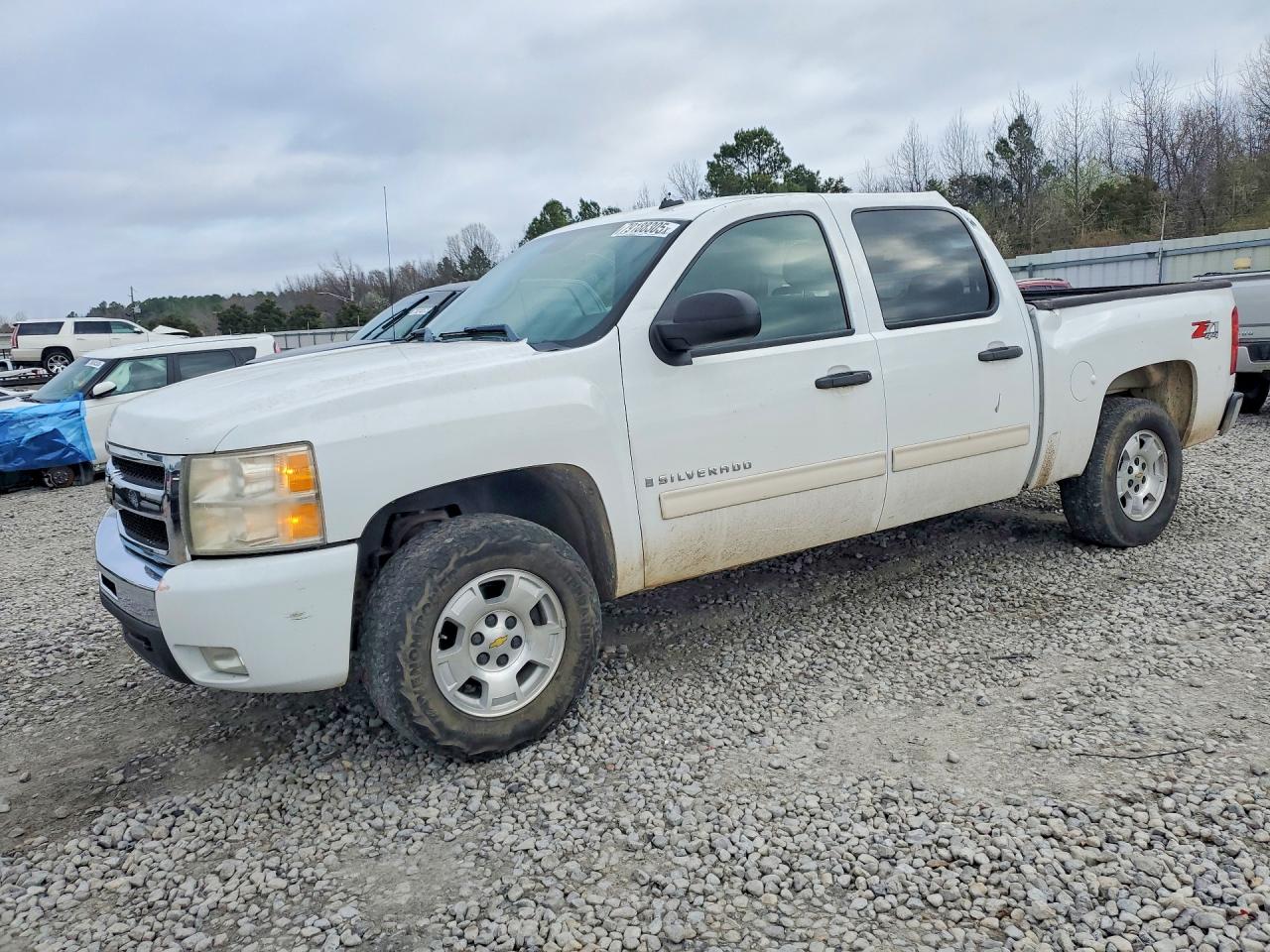 CHEVROLET SILVERADO 2009