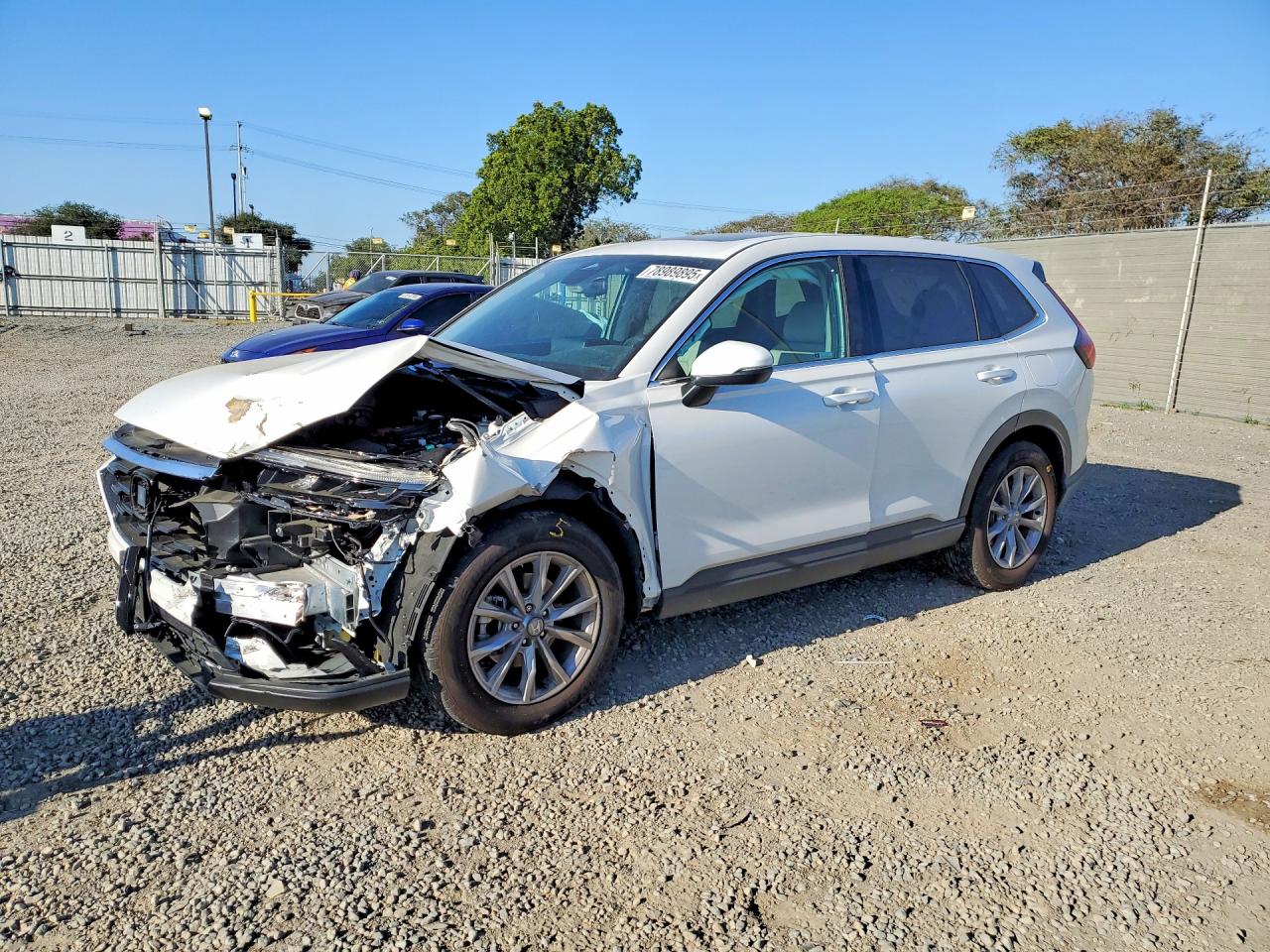 HONDA CR-V 2024