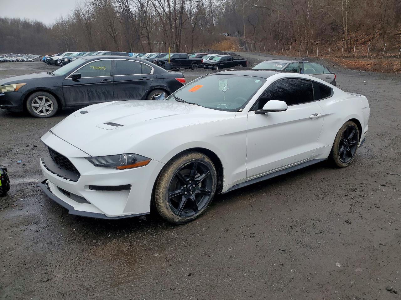 FORD MUSTANG 2020