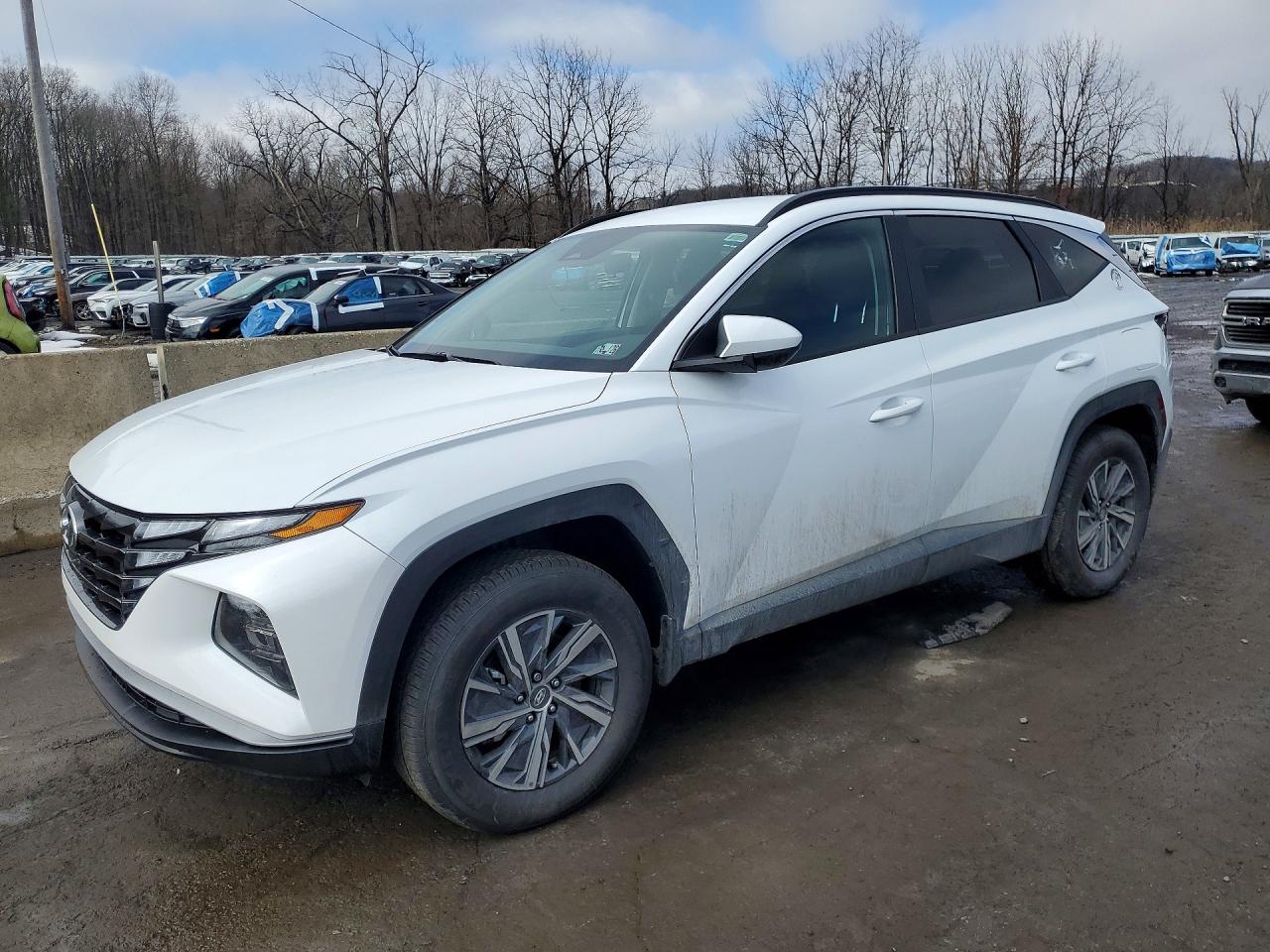 HYUNDAI TUCSON HYBRID 2024