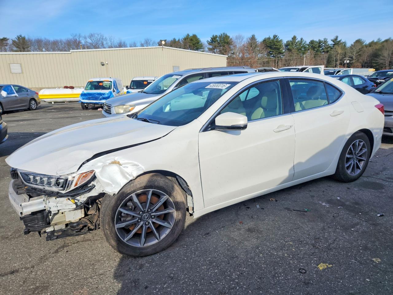 ACURA TLX 2019