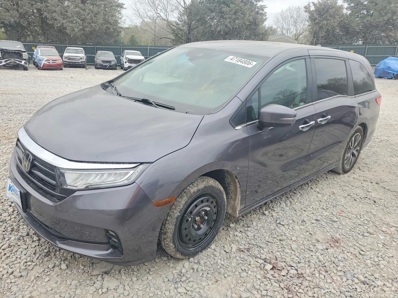 HONDA ODYSSEY 2022