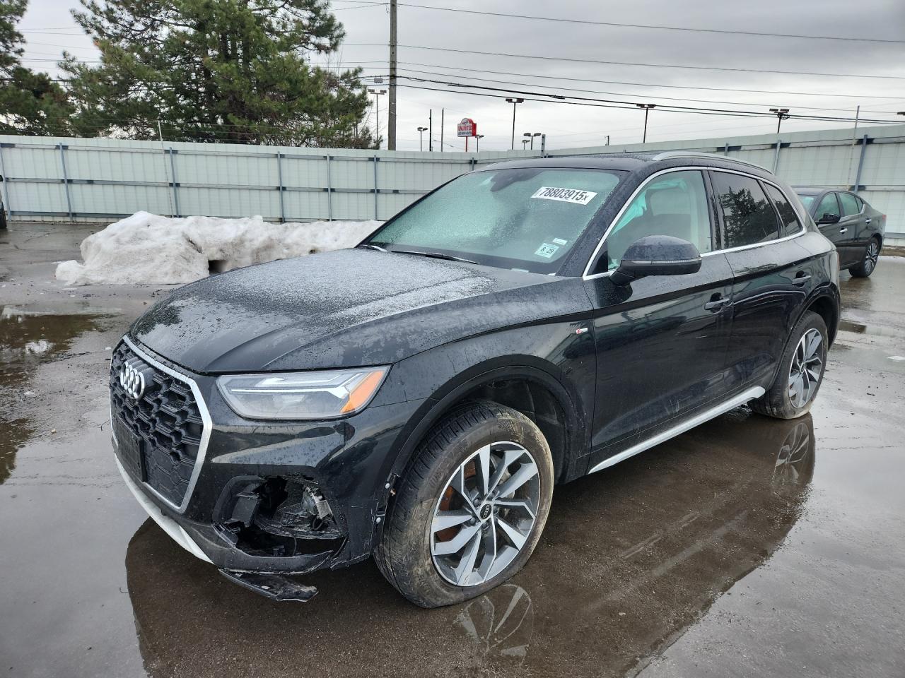 AUDI Q5 2024