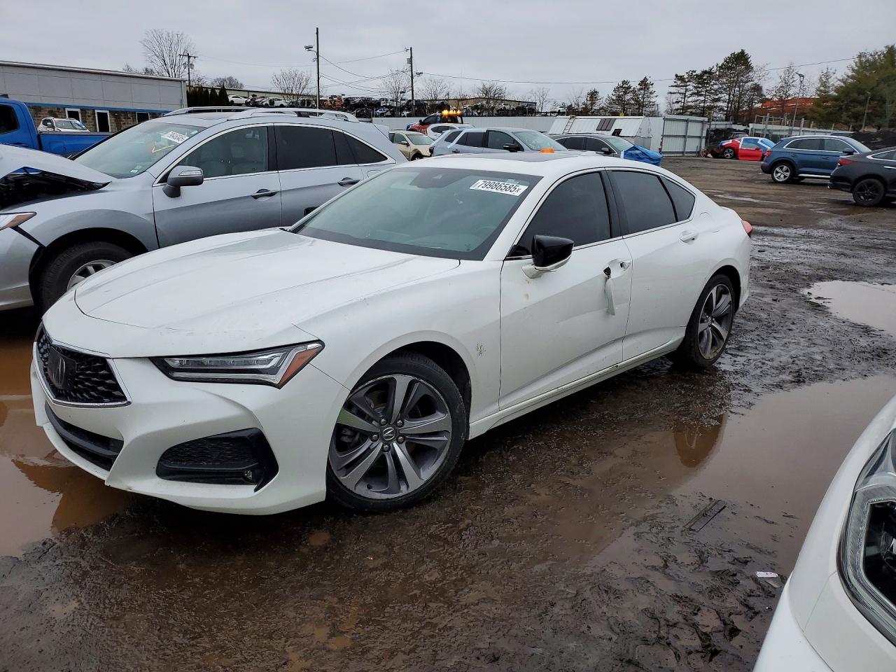ACURA TLX 2021