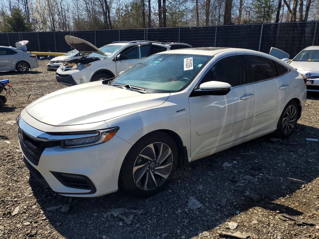 HONDA INSIGHT 2019