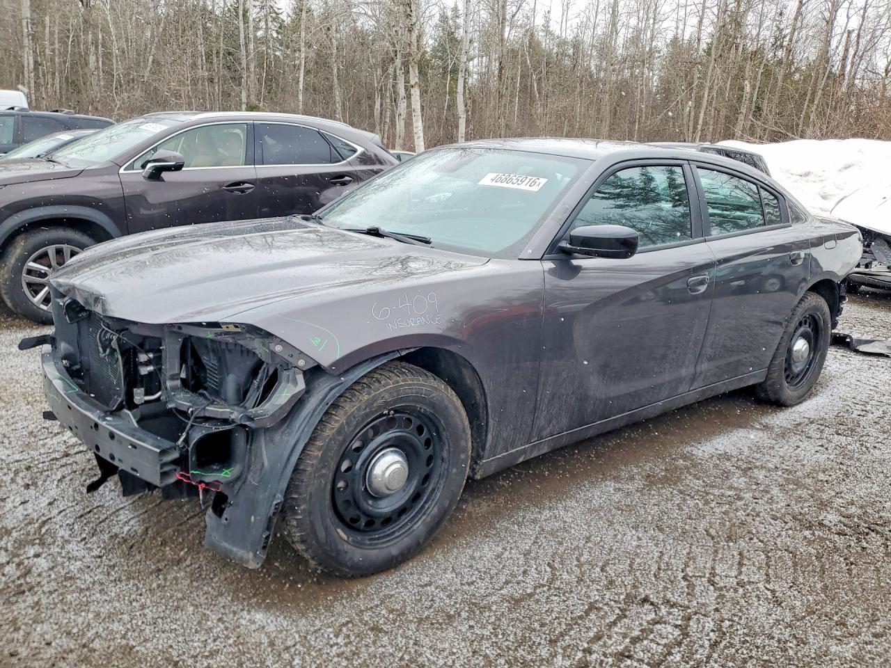 DODGE CHARGER 2023