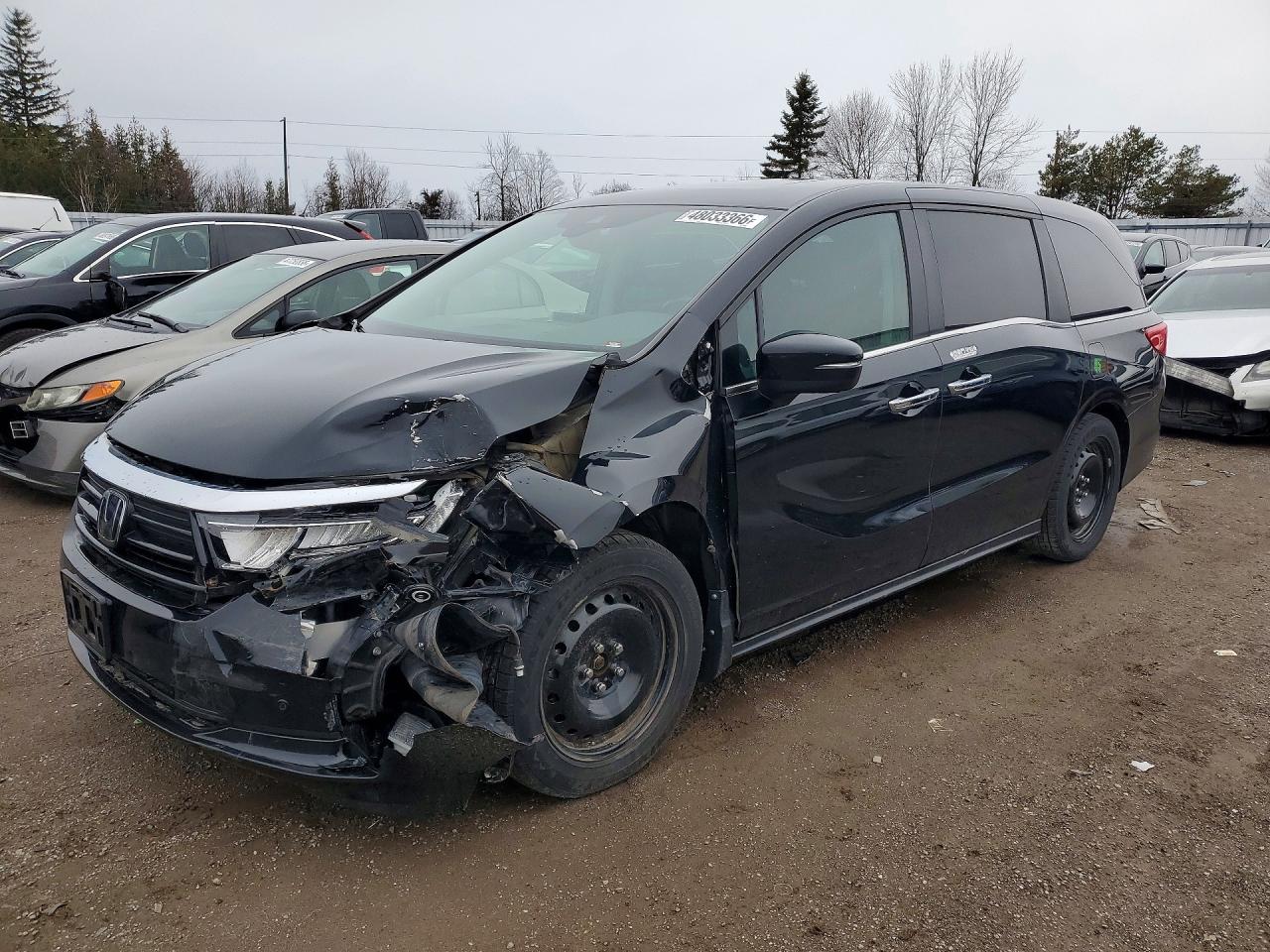 HONDA ODYSSEY 2022
