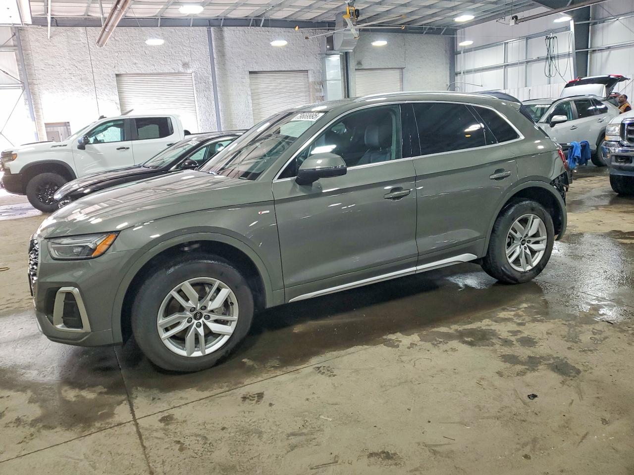 AUDI Q5 2024
