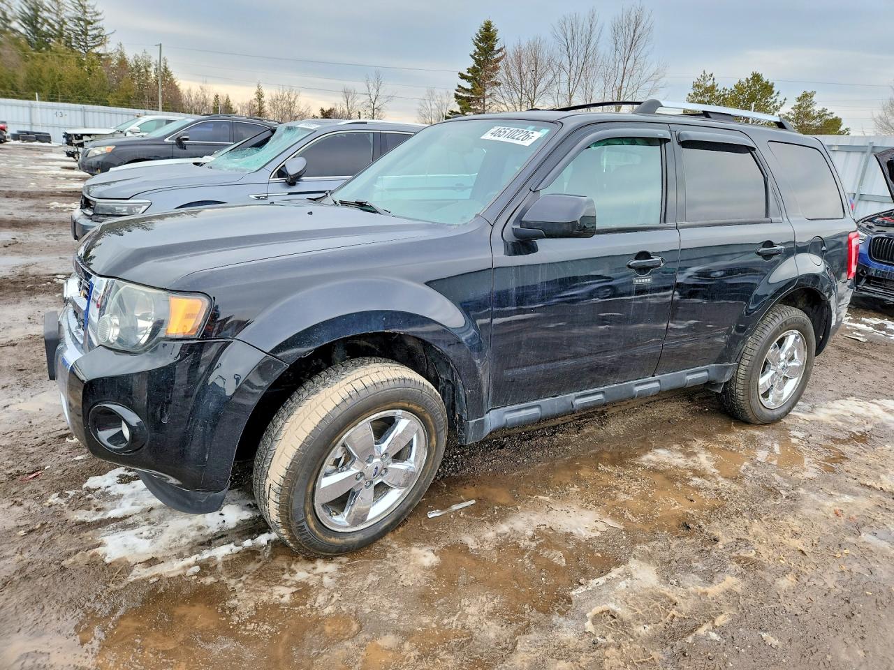 FORD ESCAPE 2010