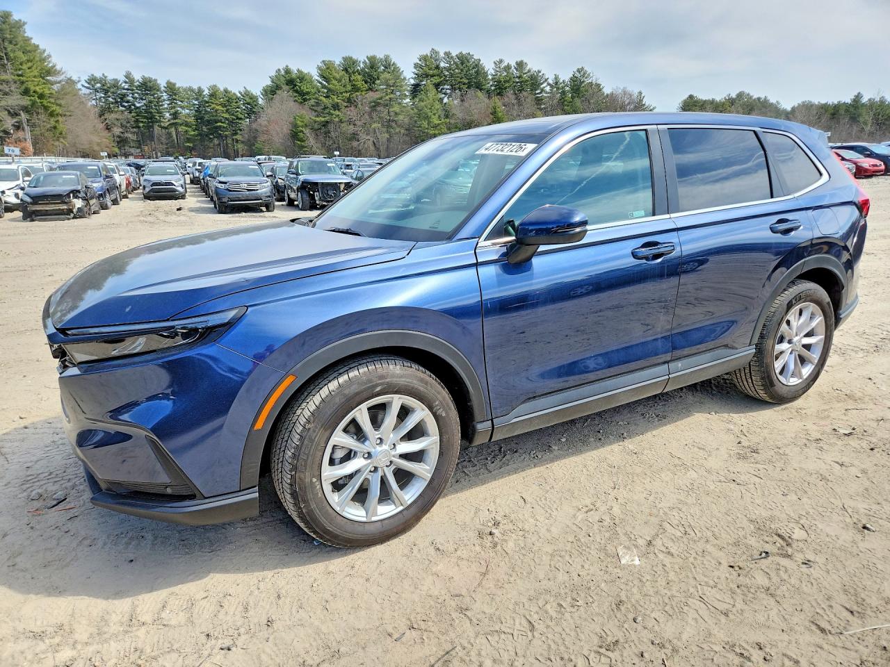 HONDA CR-V 2024