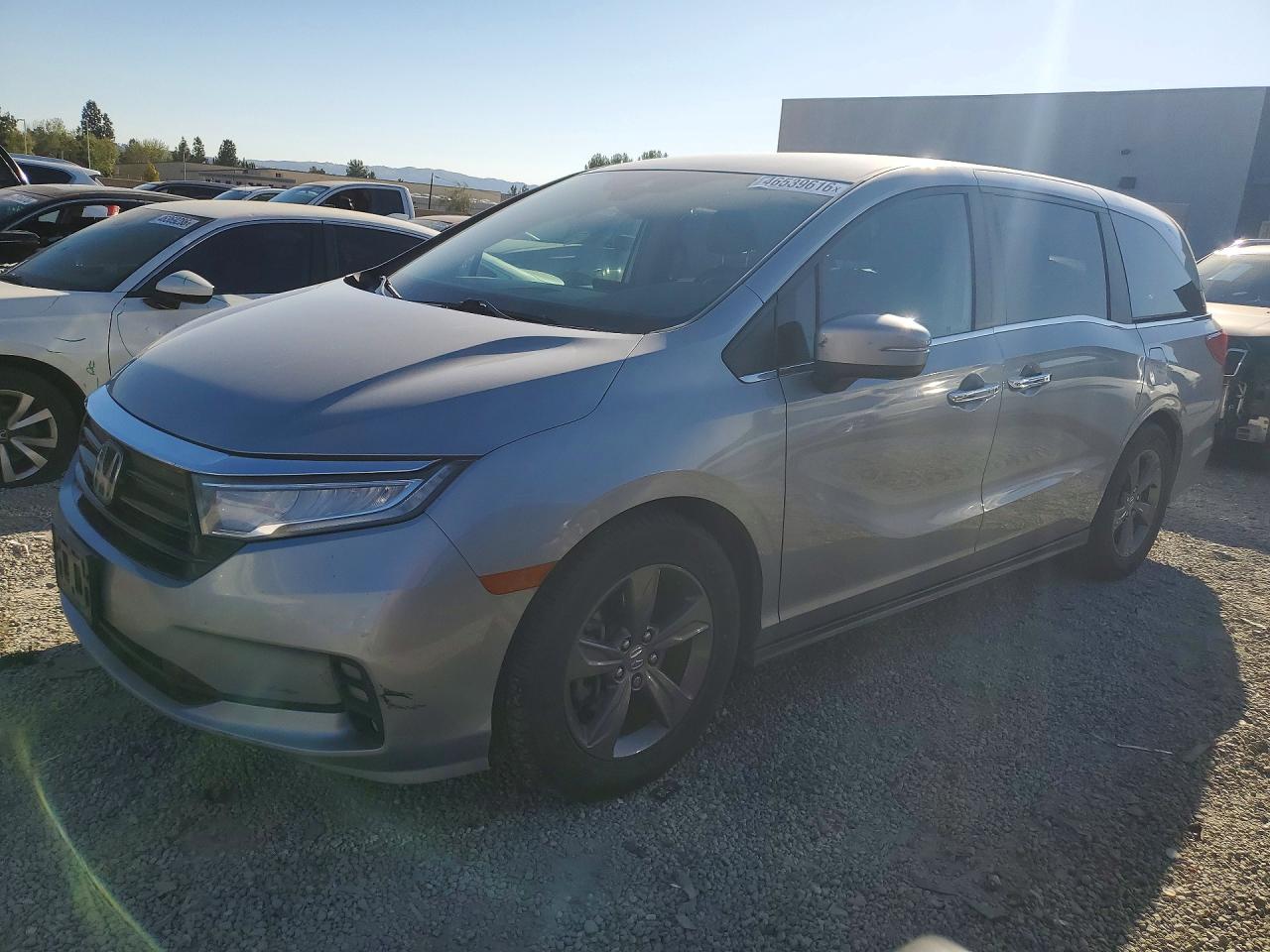 HONDA ODYSSEY 2022