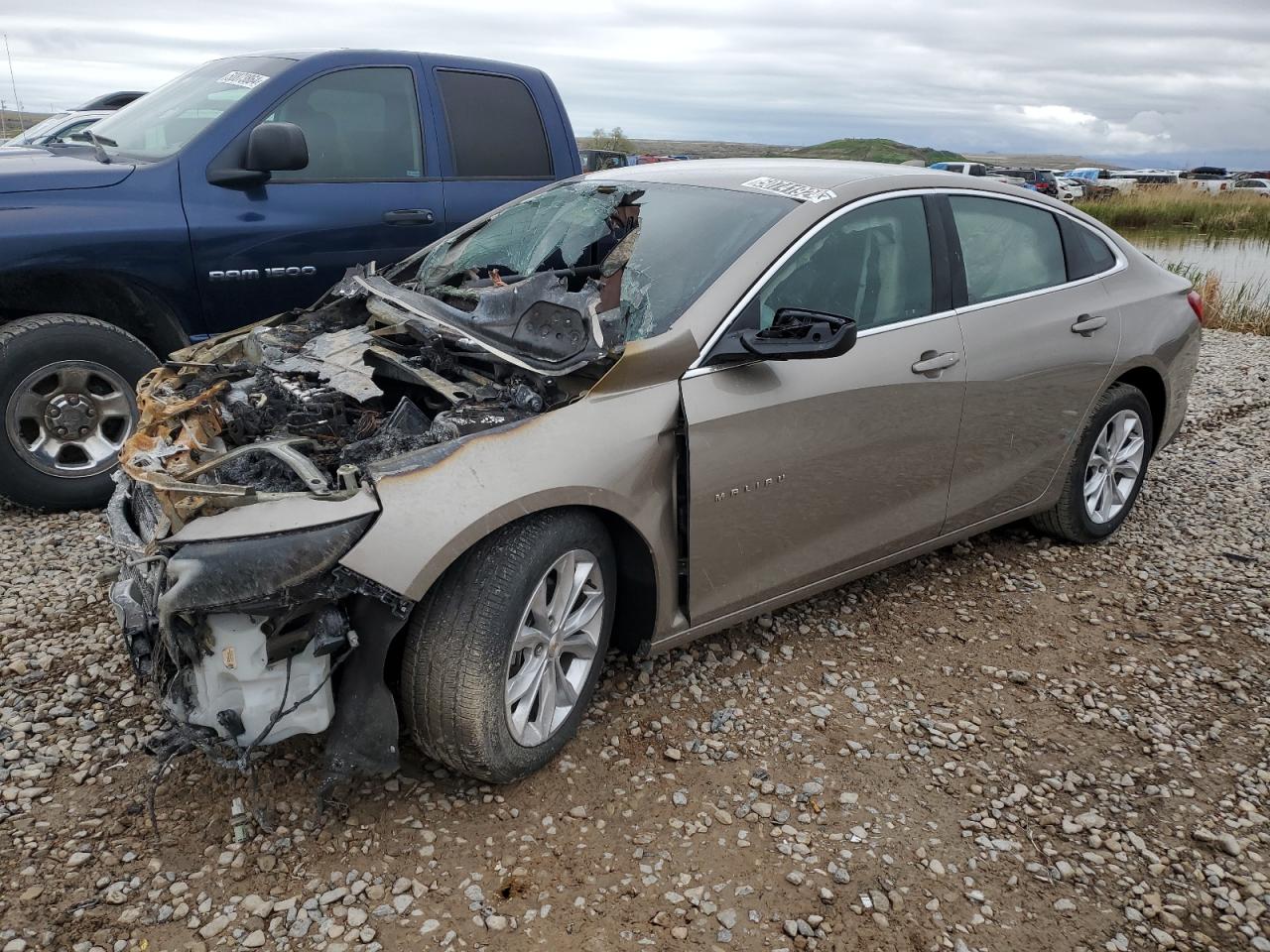 CHEVROLET MALIBU 2024