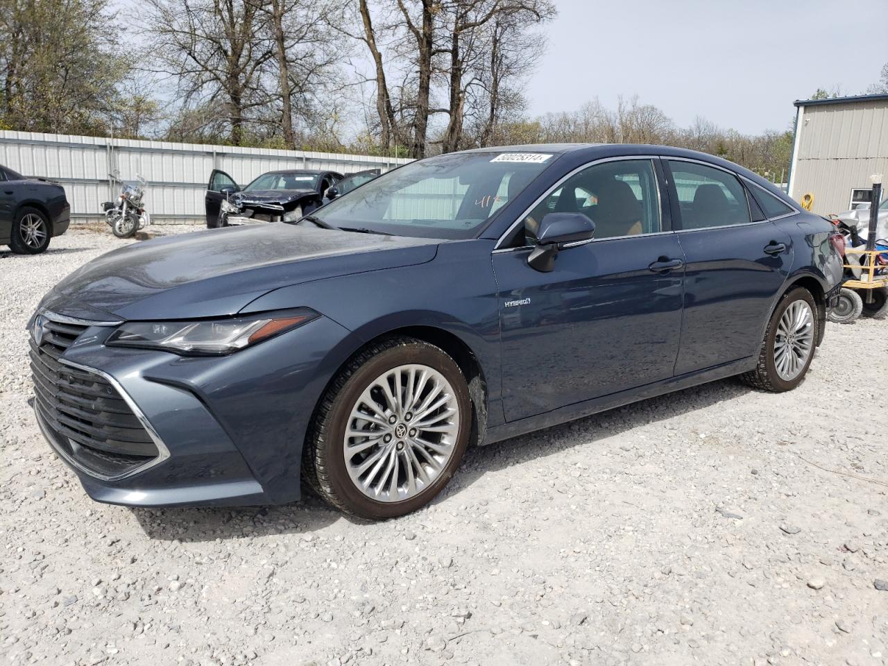 TOYOTA AVALON LIM 2020