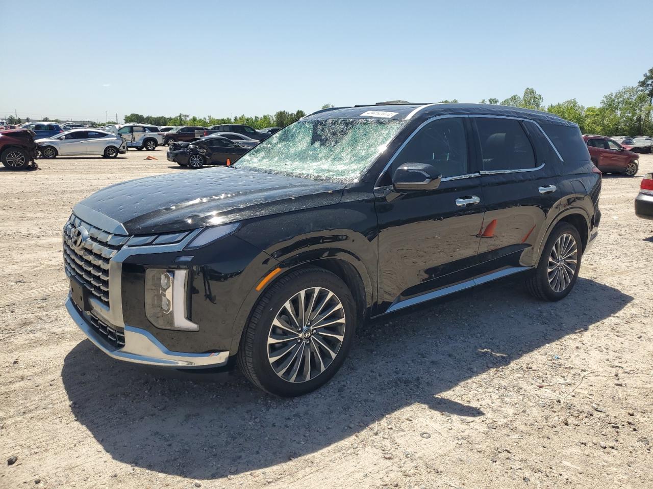 HYUNDAI PALISADE C 2024