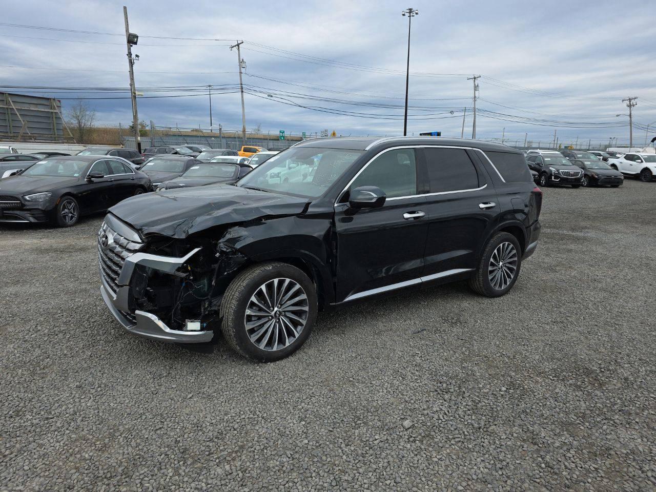 HYUNDAI PALISADE C 2024