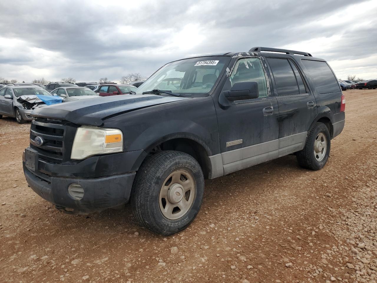 FORD EXPEDITION 2007