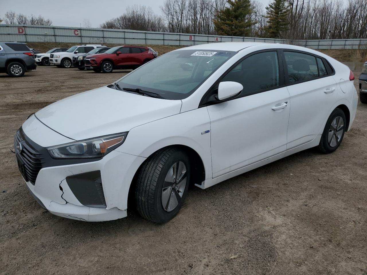 HYUNDAI IONIQ BLUE 2019