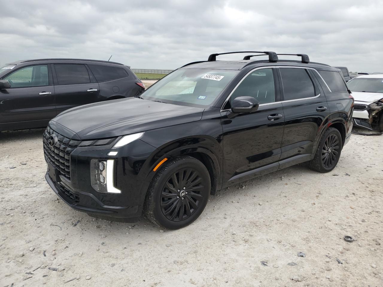 HYUNDAI PALISADE C 2024