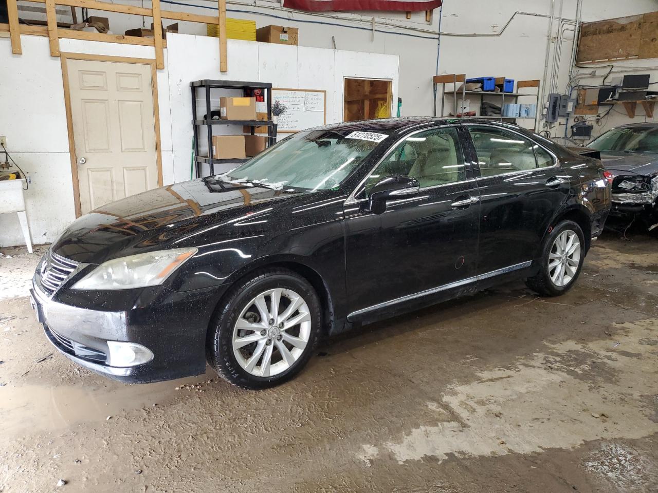 LEXUS ES 2010