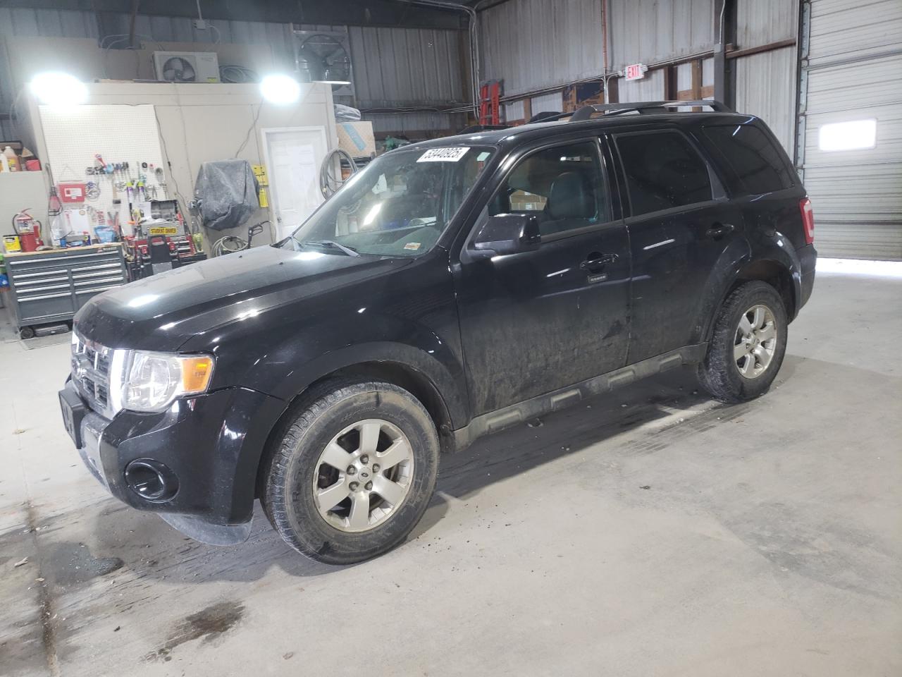 FORD ESCAPE 2010