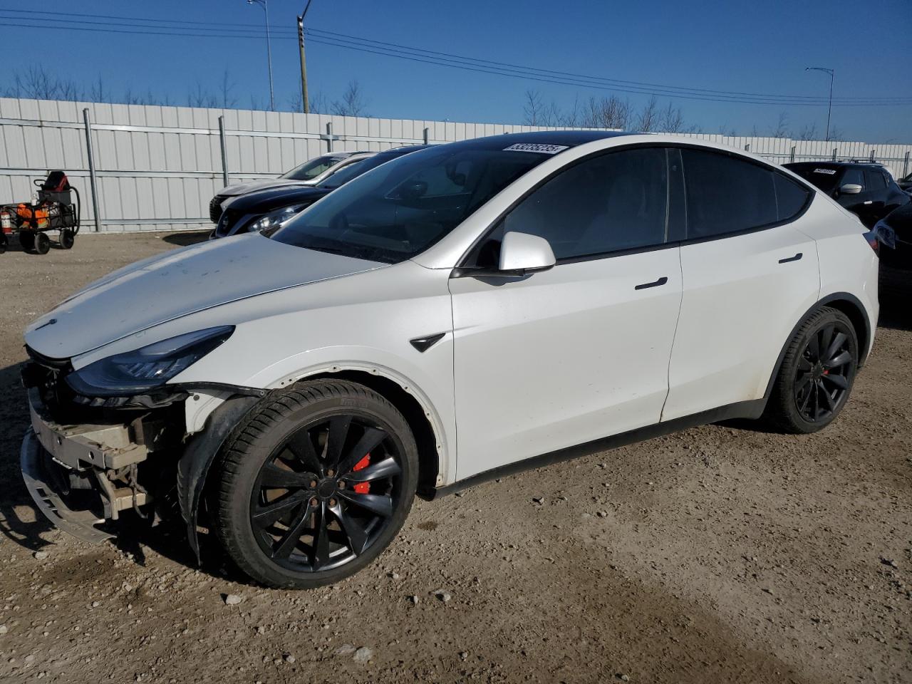 TESLA MODEL Y 2020