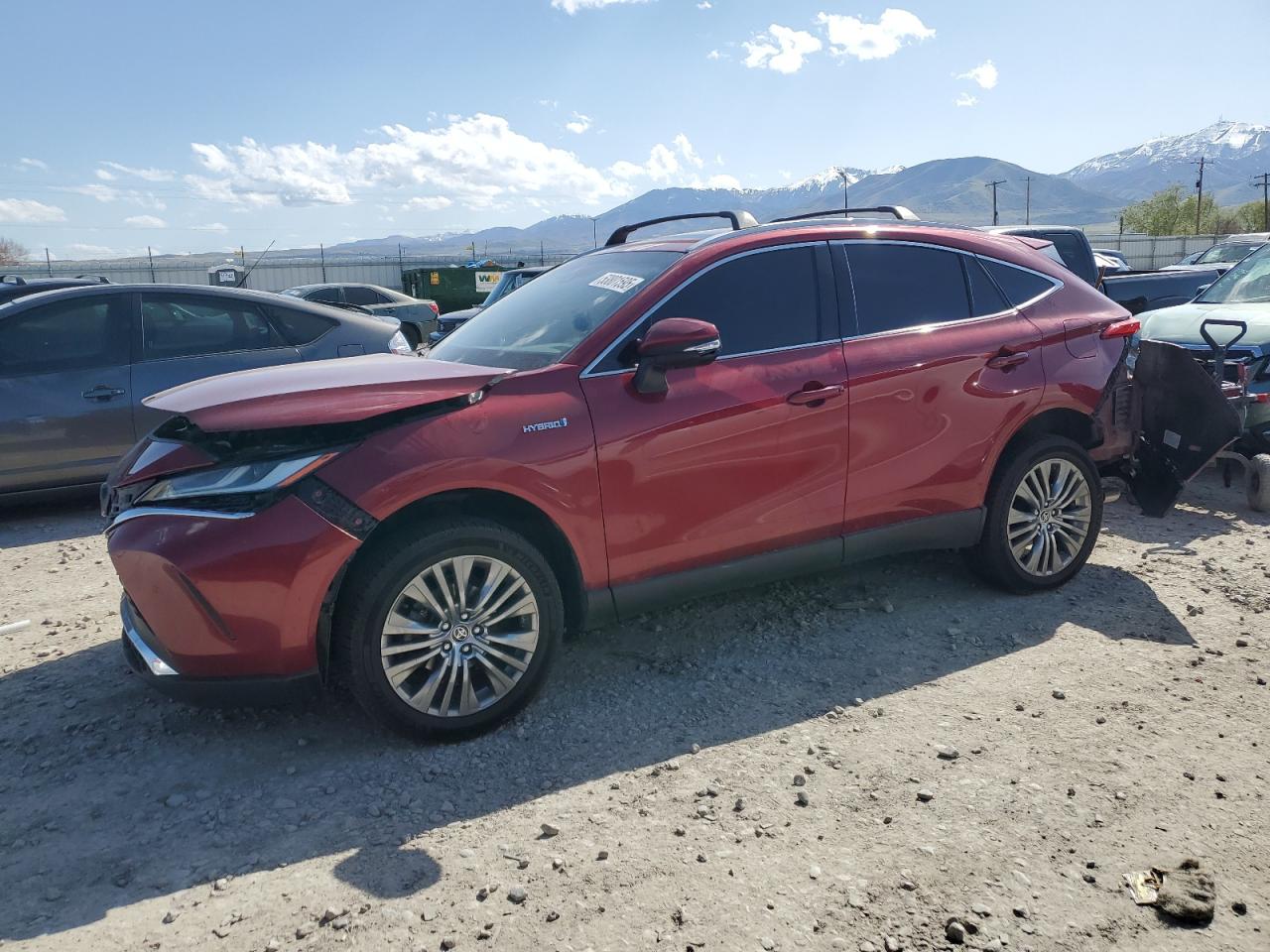 TOYOTA VENZA LE 2021