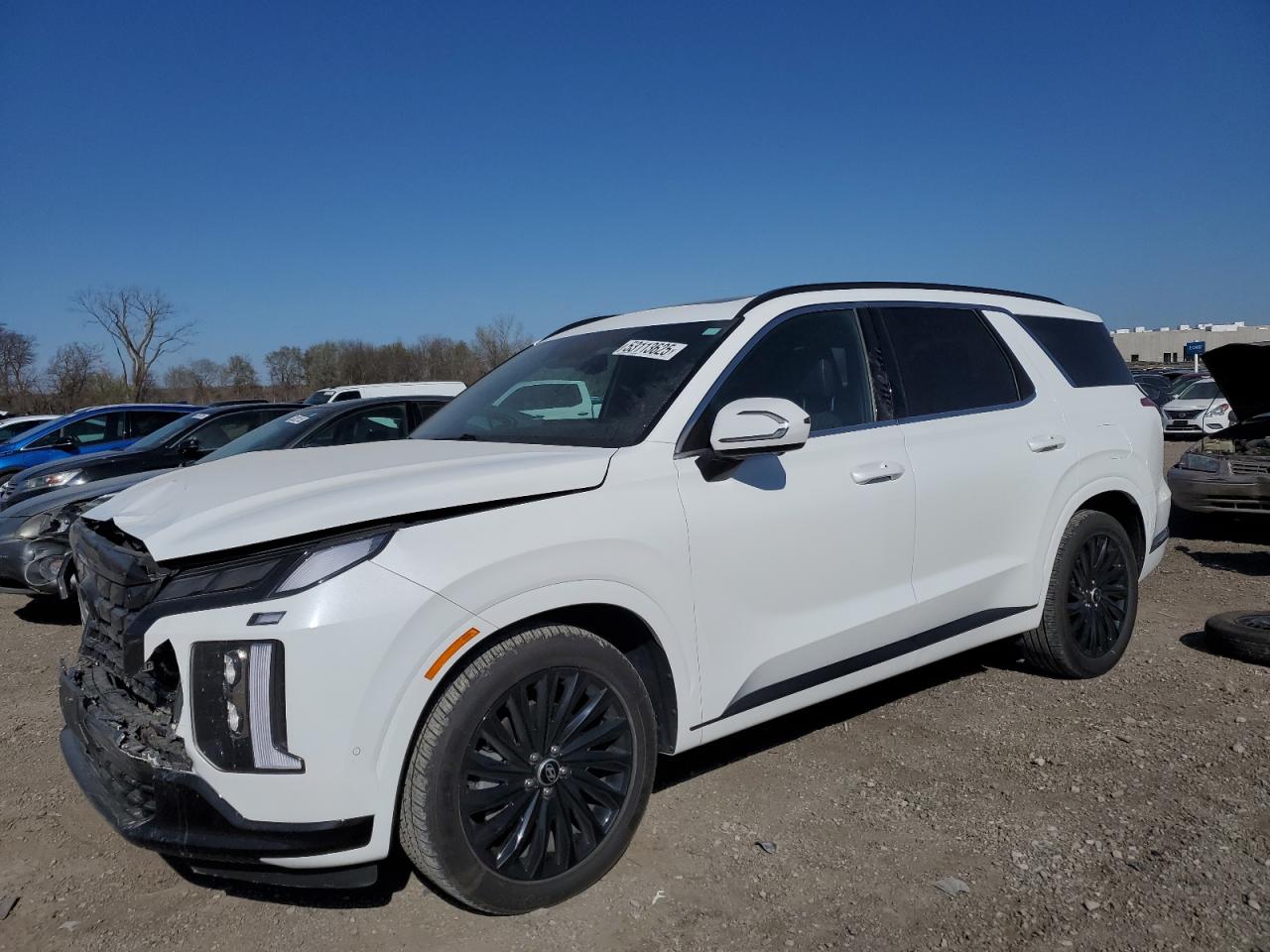 HYUNDAI PALISADE C 2024