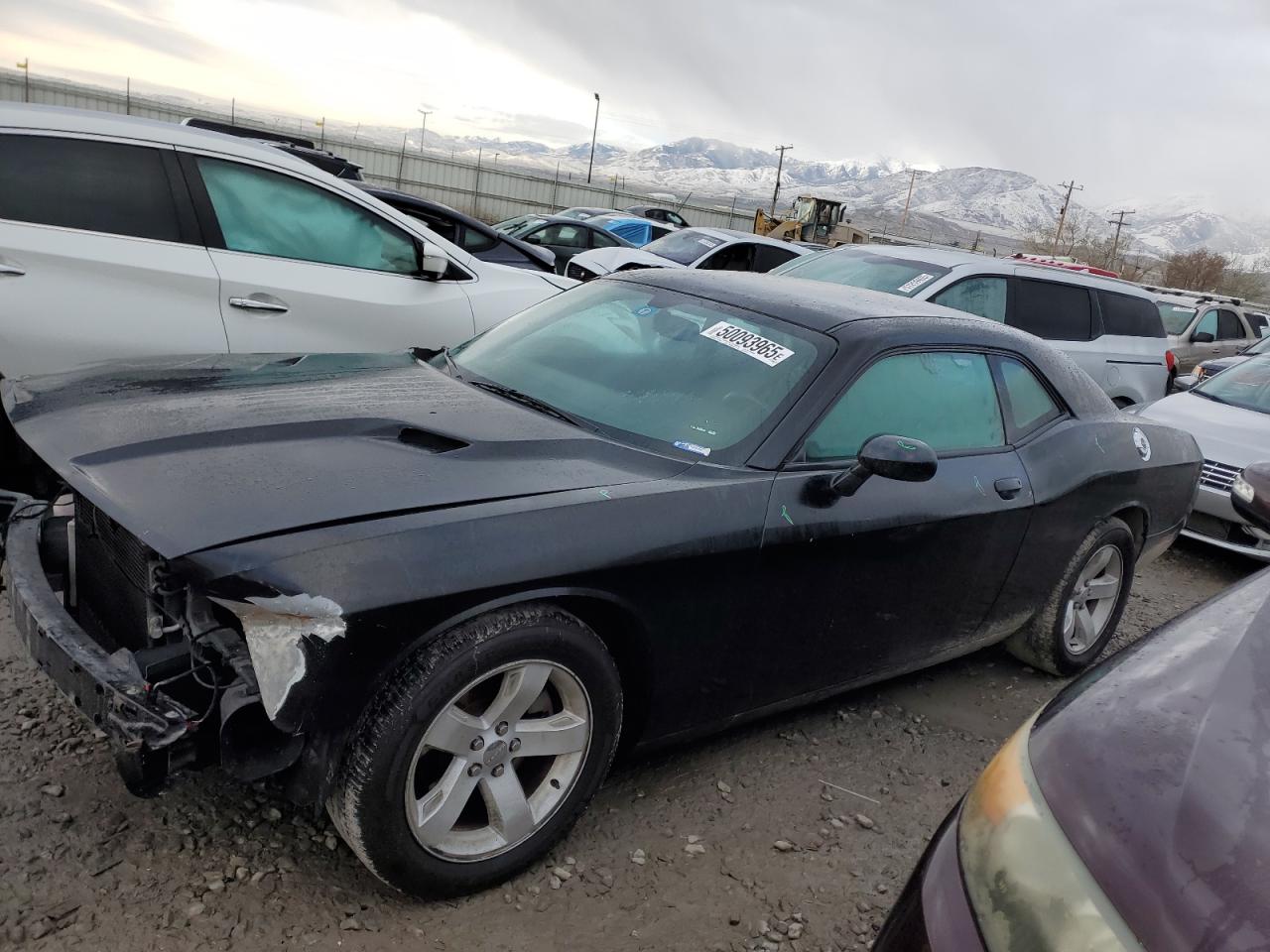 DODGE CHALLENGER 2013