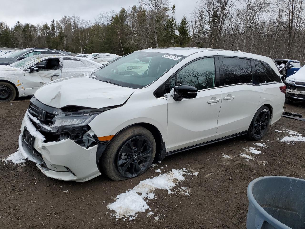 HONDA ODYSSEY BL 2024
