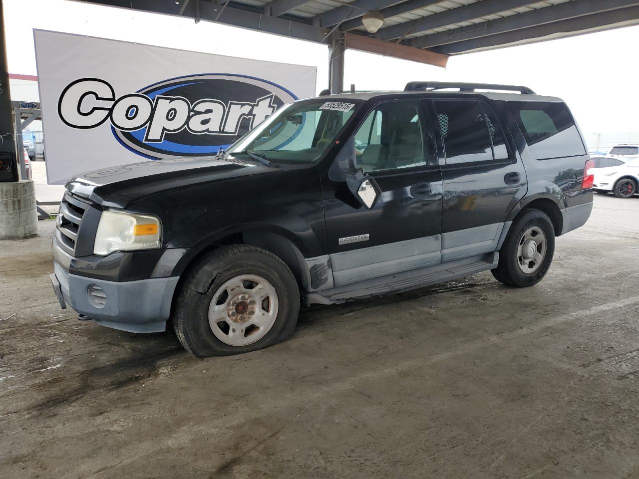 FORD EXPEDITION 2007