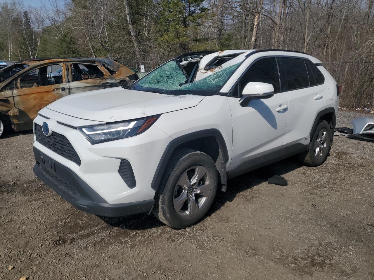 TOYOTA RAV4 XLE 2023