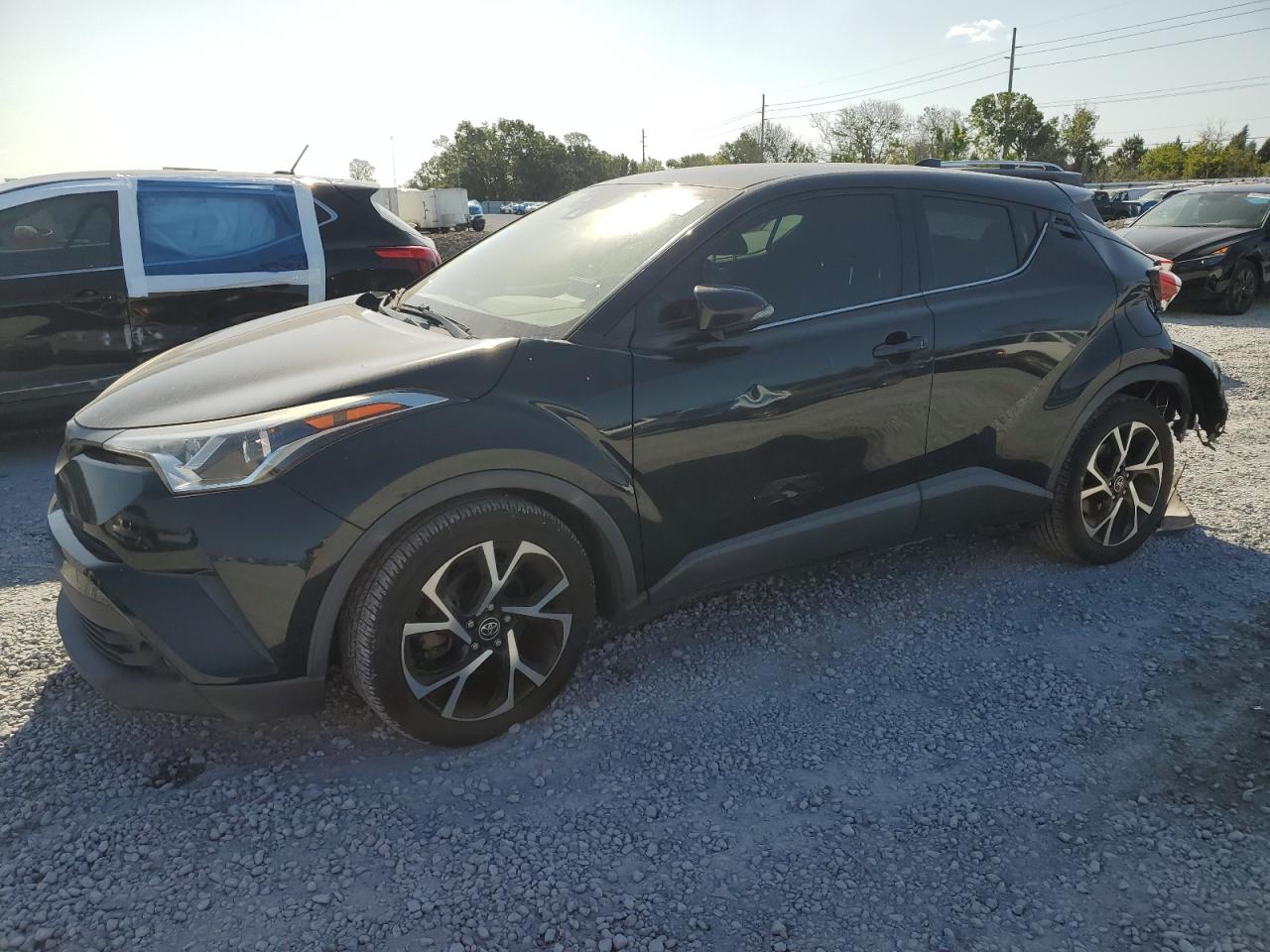 TOYOTA C-HR XLE 2019